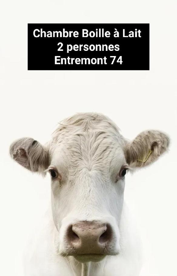 Chambre Trefle Entremont Екстер'єр фото